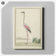 2-1_Robert-Jacob-Gordon_canvas