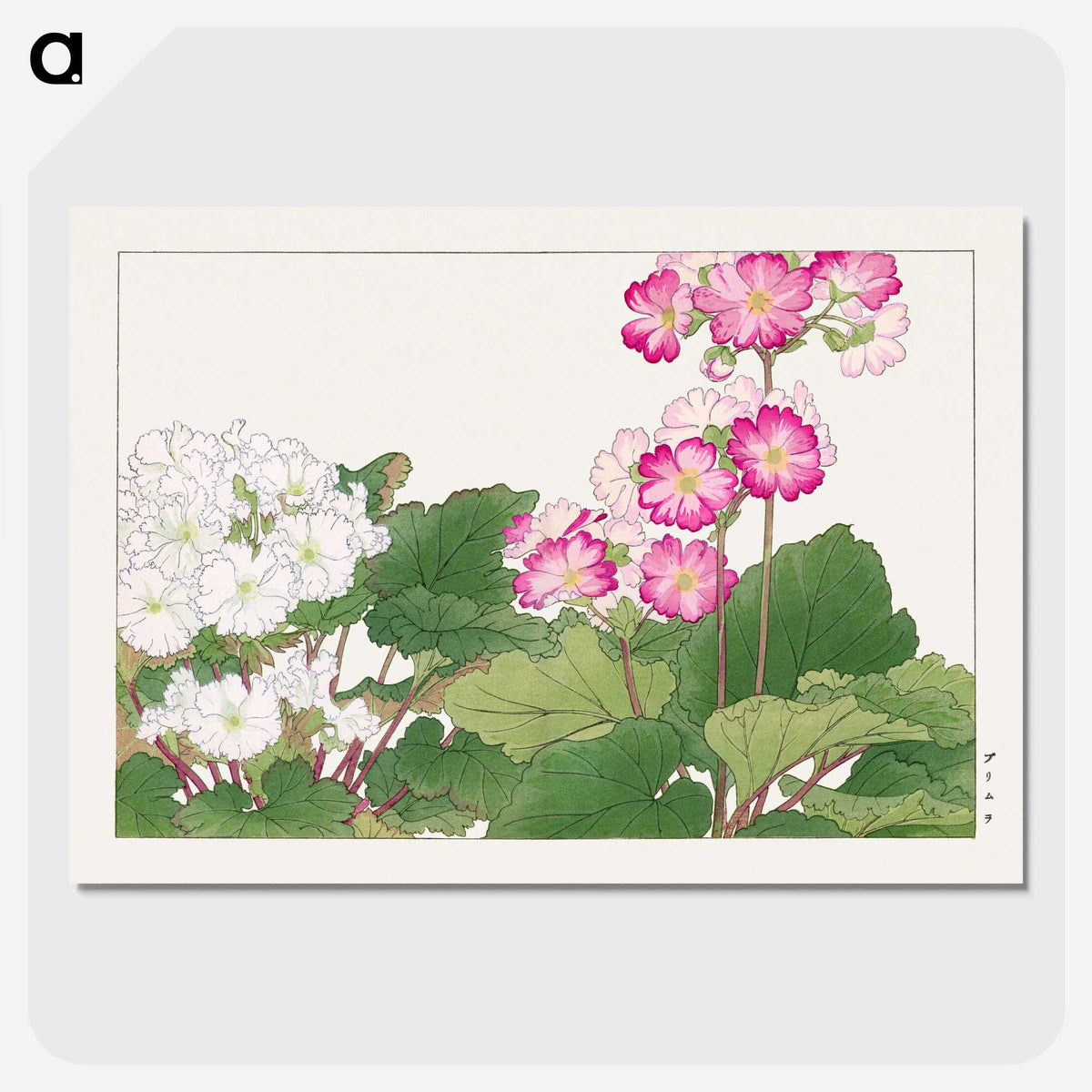 2-1_Seiyo-Soka-Zufu_picture-crop