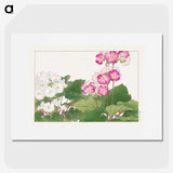 2-1_Seiyo-Soka-Zufu_picture