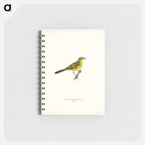 アートメモ帳-Western Yellow Wagtail
 - スヴェンスカ フォグラル Memo.