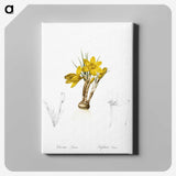2-1_The-Lilies_canvas
