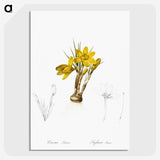 2-1_The-Lilies_picture-crop