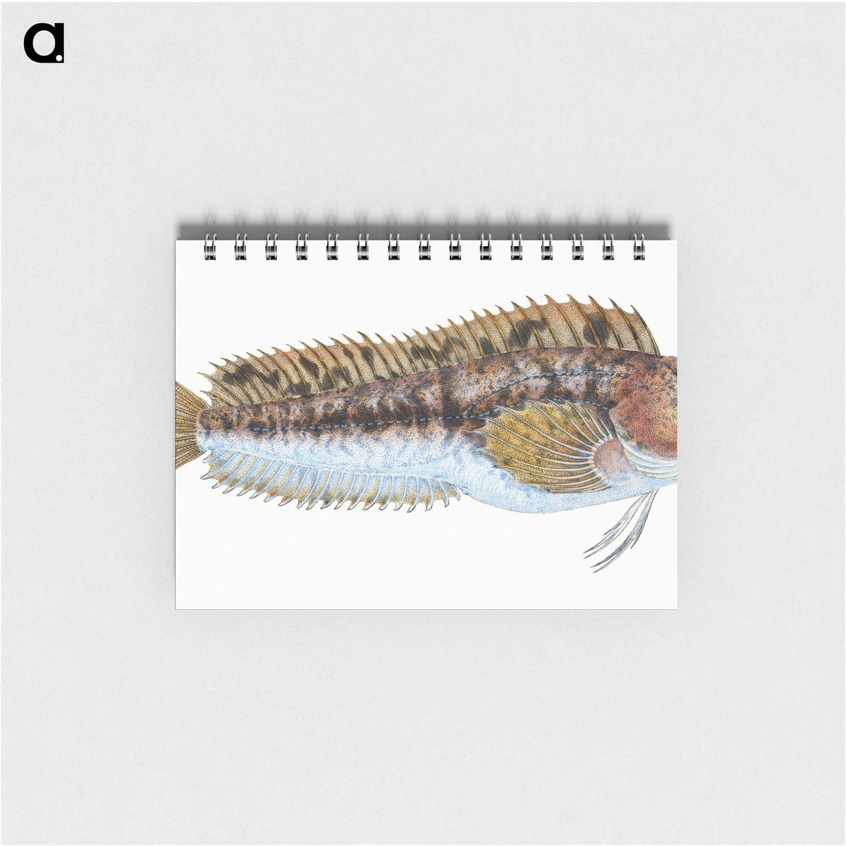 2-1_The-Natural-History-of-British-Fishes_memo
