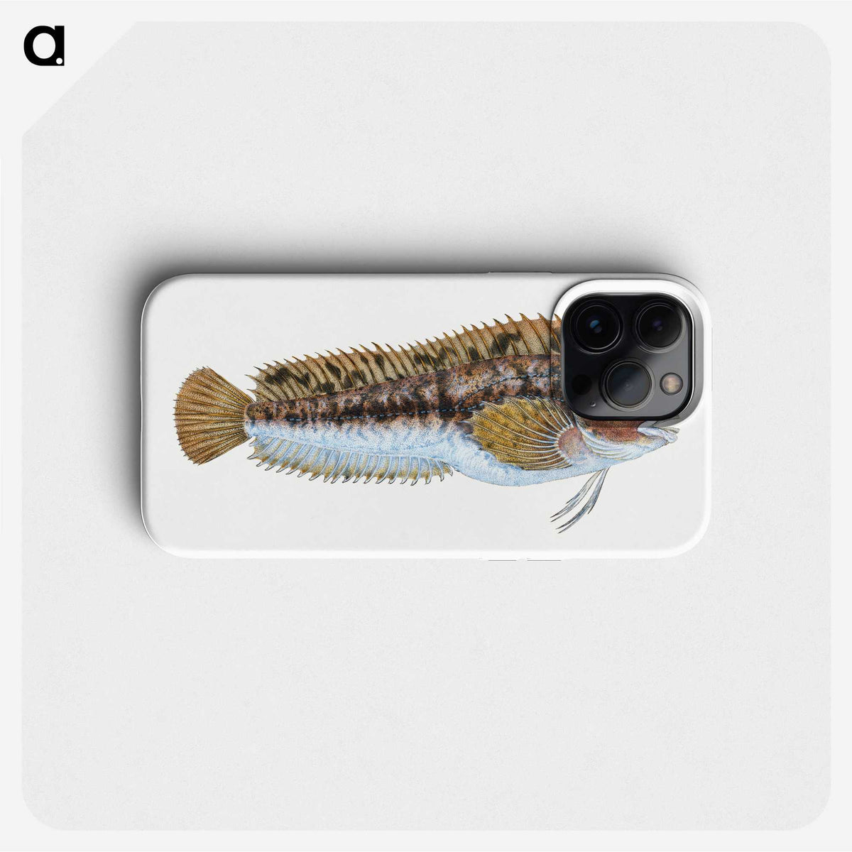2-1_The-Natural-History-of-British-Fishes_phone