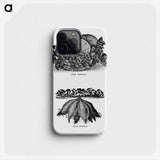 2-1_The-Open-Door-to-Independence_phone