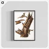 2-1_The-Viviparous-Quadrupeds_blk-crop