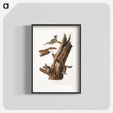 2-1_The-Viviparous-Quadrupeds_blk