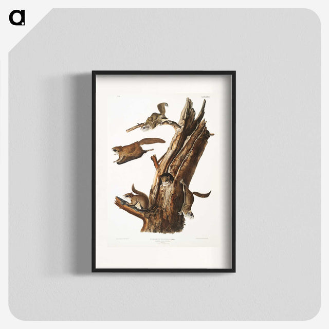 2-1_The-Viviparous-Quadrupeds_blk
