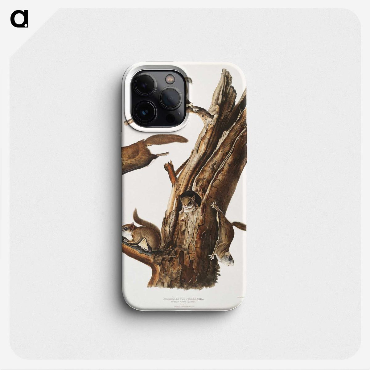 2-1_The-Viviparous-Quadrupeds_phone