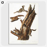 2-1_The-Viviparous-Quadrupeds_picture-crop