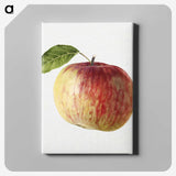 2-1_USDA-Watercolor-Fruit-Painting-Collection_canvas