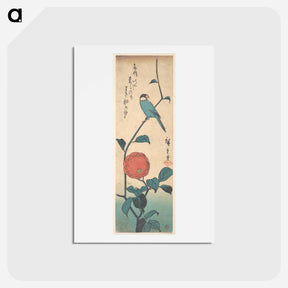 アートポストカード-Camellia and Finch
 - 歌川 広重 Postcard.