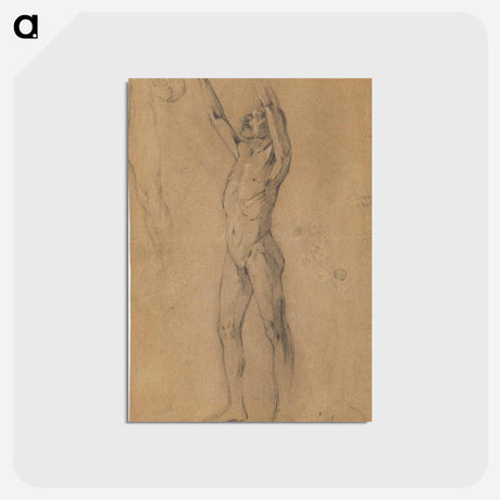 アートポストカード-Male Nudes Study
 - ウィーン博物館 Postcard.