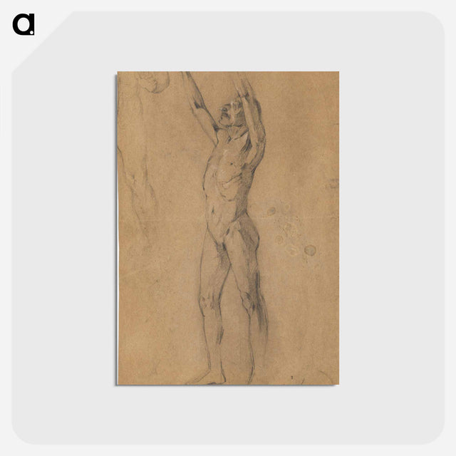 アートポストカード-Male Nudes Study
 - ウィーン博物館 Postcard.