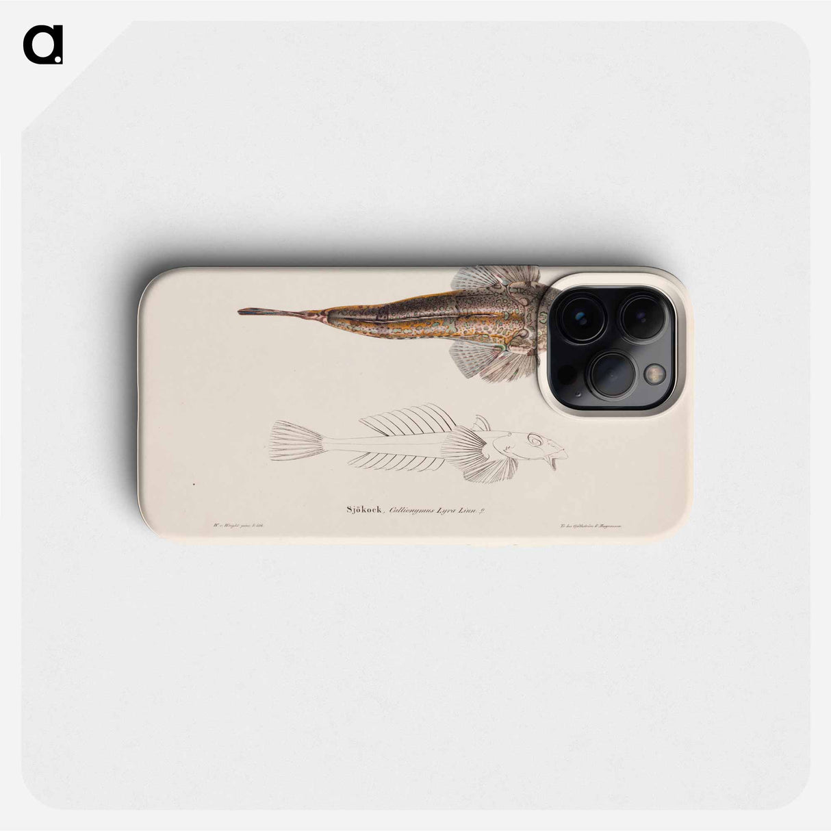 Dragonet - Wilhelm von Wright Phone Case.