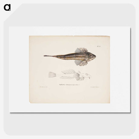 2-1_Wilhelm-von-Wright_picture