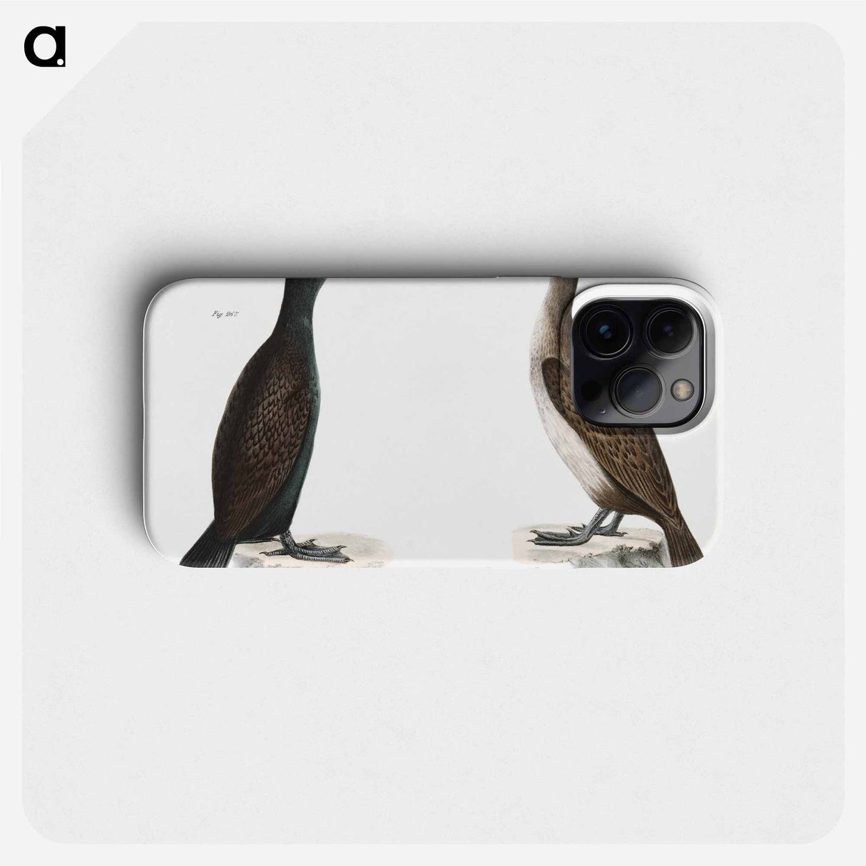 Double-crested Cormorant - ニューヨークの動物学 Phone Case.