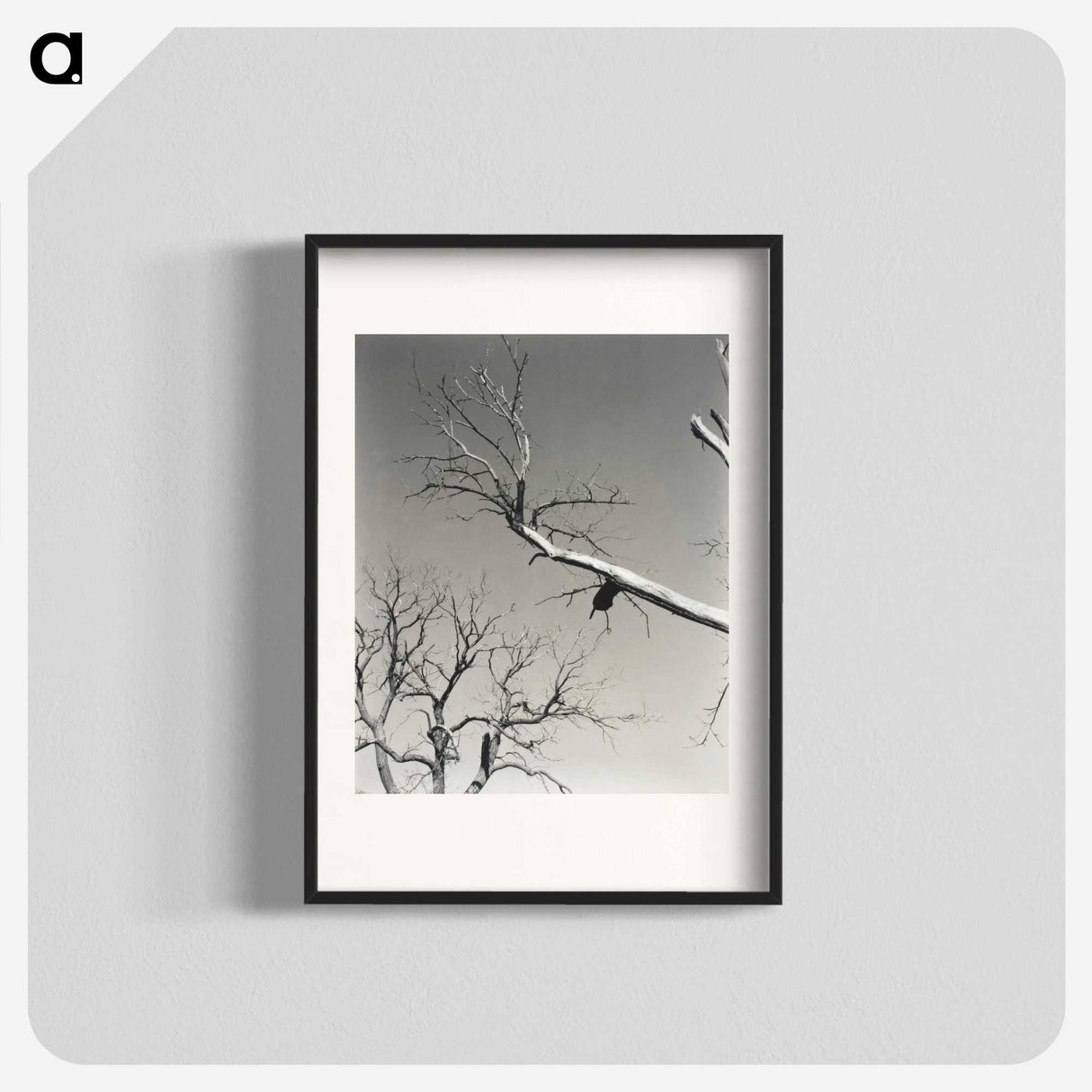 2-20_Alfred-Stieglitz_blk