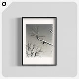 2-20_Alfred-Stieglitz_blk