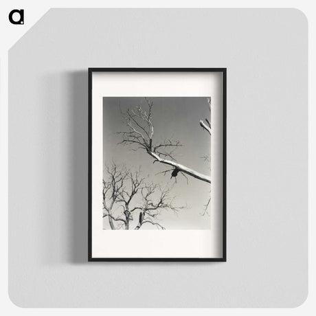 2-20_Alfred-Stieglitz_blk