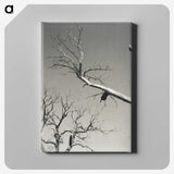 2-20_Alfred-Stieglitz_canvas