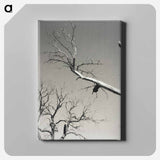 The Dying Chestnut Tree—My Teacher - アルフレッド スティーグリッツ Canvas.
