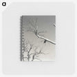 2-20_Alfred-Stieglitz_memo