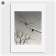 2-20_Alfred-Stieglitz_picture