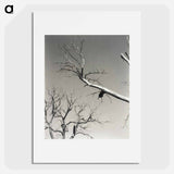 The Dying Chestnut Tree—My Teacher - アルフレッド スティーグリッツ Poster.