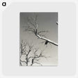 2-20_Alfred-Stieglitz_postcard