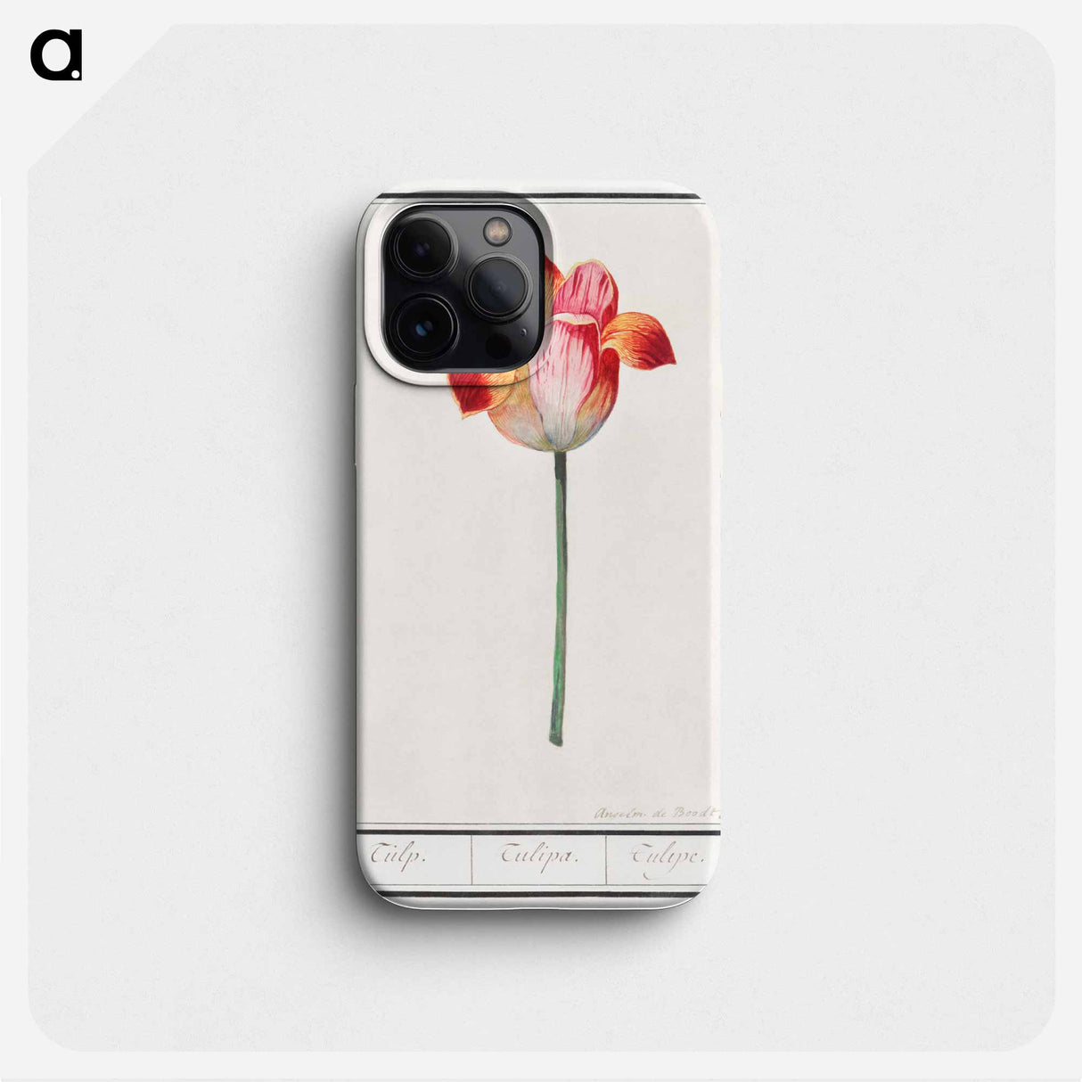 Tulip - アンセルムス ボエティウス デ ブート Phone Case.
