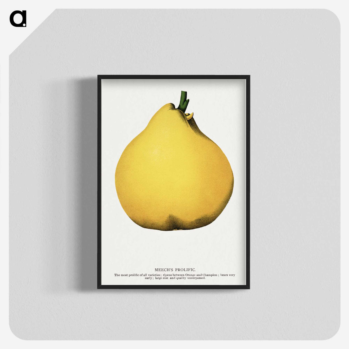 2-20_Botanical-Specimen-Plates_blk-crop
