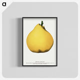 2-20_Botanical-Specimen-Plates_blk-crop