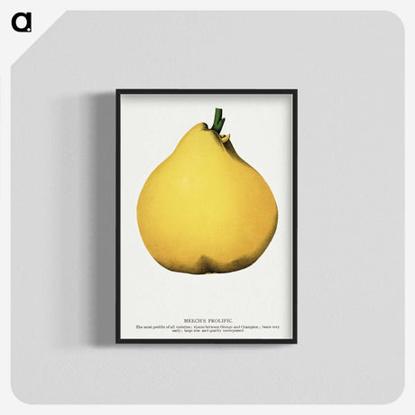 2-20_Botanical-Specimen-Plates_blk-crop