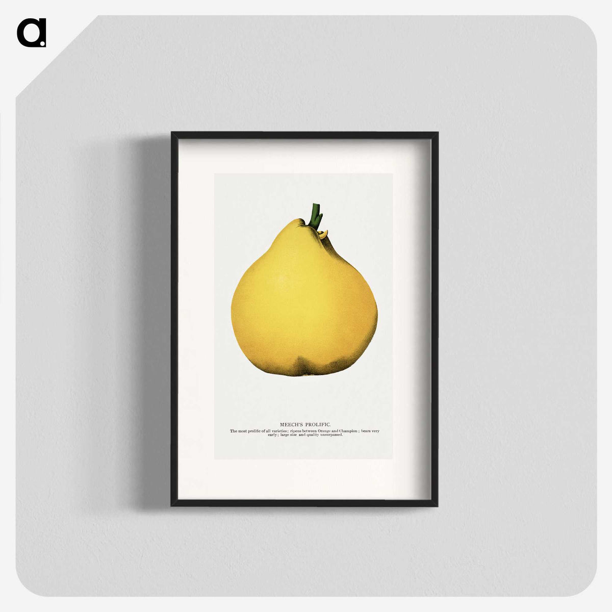 2-20_Botanical-Specimen-Plates_blk