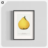 2-20_Botanical-Specimen-Plates_blk