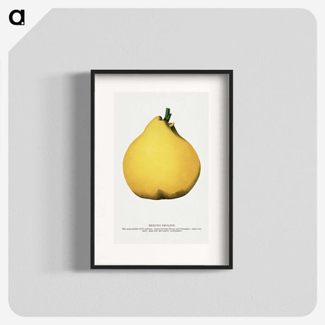 2-20_Botanical-Specimen-Plates_blk