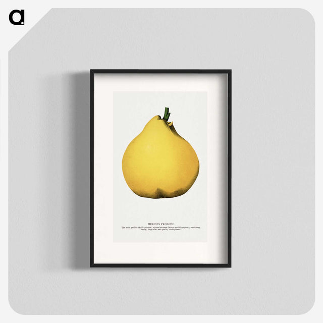 2-20_Botanical-Specimen-Plates_blk