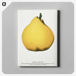 2-20_Botanical-Specimen-Plates_canvas