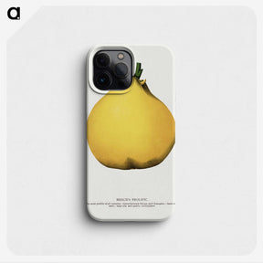 2-20_Botanical-Specimen-Plates_phone