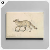 2-20_Charles-Hamilton-Smith_canvas
