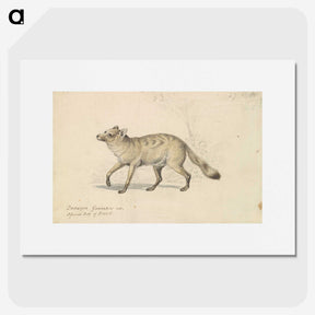 2-20_Charles-Hamilton-Smith_picture