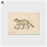 2-20_Charles-Hamilton-Smith_postcard