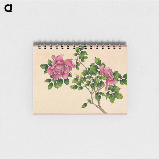 アートメモ帳-Rose
 - クリーブランド美術館 Memo.