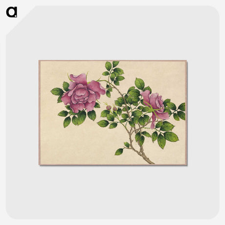 2-20_Cleveland-Museum-of-Art_postcard