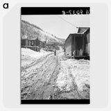 2-20_Dorothea-Lange_picture-crop