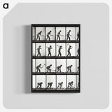 2-20_Eadweard-Muybridge_blk-crop
