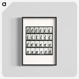 2-20_Eadweard-Muybridge_blk