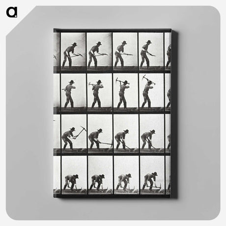 2-20_Eadweard-Muybridge_canvas