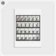 アートポストカード-Animal Locomotion Plate 386
 - エドワード マイブリッジ Postcard.